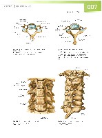 Sobotta  Atlas of Human Anatomy  Trunk, Viscera,Lower Limb Volume2 2006, page 14